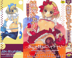 Download JUN-AI catalog