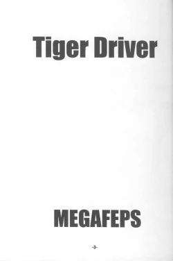 Page 2 of TigerDriver