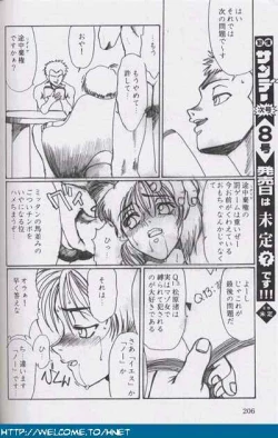 Page 205 of Shukan Seinen Sunday Special Edition