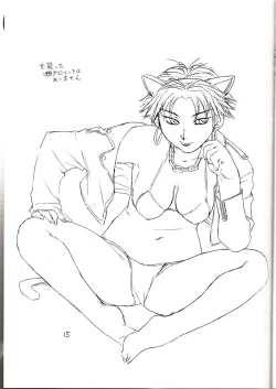 Page 14 of Cat Parade