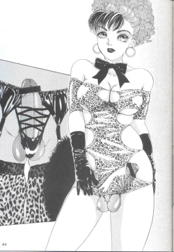 Page 29 of Shemale Behaviour Illustration