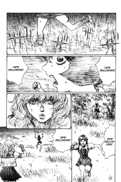 Page 250 of Becchin and Mandara