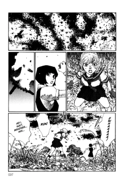 Page 46 of Becchin and Mandara