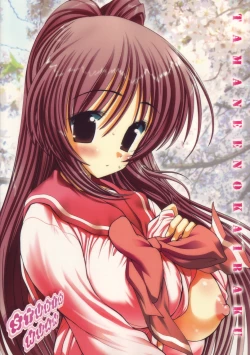 Page 30 of Tama-nee no Kairaku Kouhen