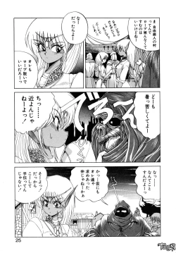 Page 25 of Dark Wirbel Vol 1