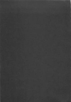 Page 210 of Shin Rape Vol 3