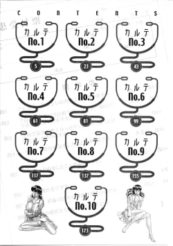 Page 5 of Hitomi no Karte 1