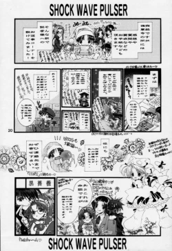 Page 19 of Shock Wave Pulser