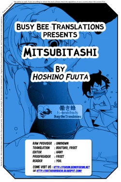 Page 25 of Mitsubitashi