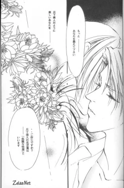 Page 15 of Gekka Bijin