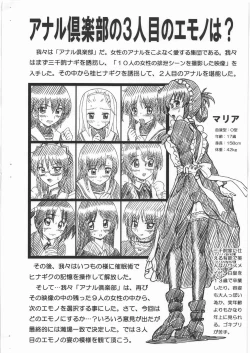 Page 2 of HAYATE FILE Maria Gazoushuu