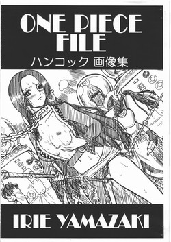 (COMIC1☆4) [Rat Tail (Irie Yamazaki)] ONE PIECE FILE Hancock Gazoushuu (One Piece)