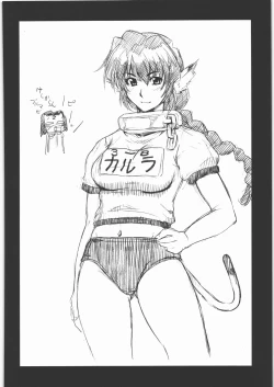 Page 31 of MACHWING '07'08'09