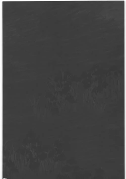 Page 55 of Shouwa Iki