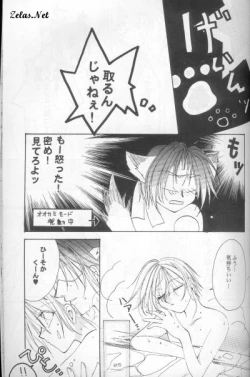 Page 21 of Royal Cute 1