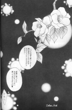 Page 32 of Royal Cute 1