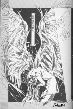 Page 36 of Kinshijaku ENIGMA Seikon