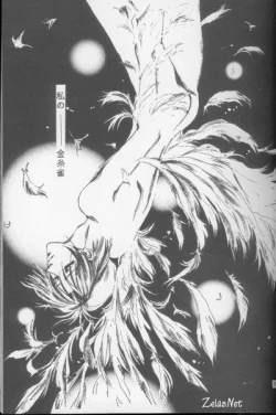 Page 8 of Kinshijaku ENIGMA Seikon