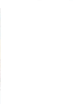 Page 2 of Mahou Shoujo Magical SEED TROUBLE