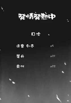 Page 4 of Hatsujou Hatsune Tsuchuu