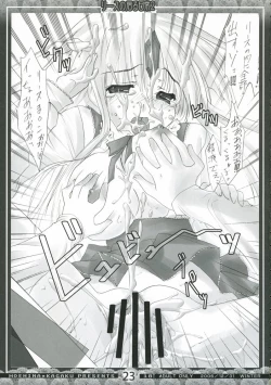 Page 22 of Riesz no Iru Nichijou 2