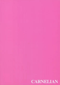 Page 22 of Niiduma ga Maiban Hitori Kiri no Beddo de Kangaeru Koto