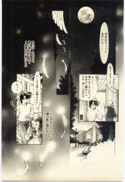 Page 86 of Renai Consultant