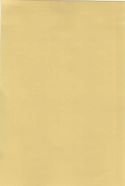 Page 80 of Powerful Mazegohan vol 1