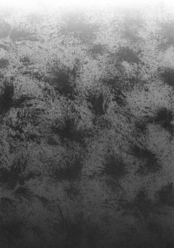 Page 21 of Yoru ni Hibiku