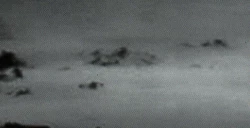 Page 2 of crossroad Hikari