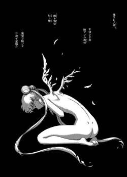 Page 11 of Submission Sailorstars