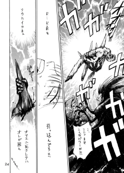 Page 23 of Submission Sailorstars