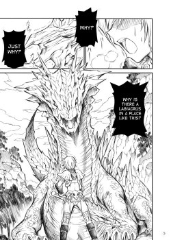 Page 5 of Solo Hunter no Seitai