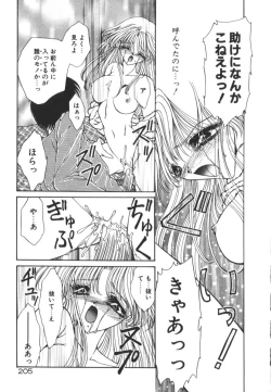 Page 210 of Nemurenai Yoru no Kotori