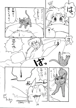 Page 25 of Dai Mangetsu