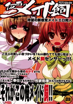 Page 1 of Kamen no Maid Gai