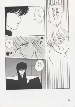 Page 33 of Anice 2 Gekkabijin