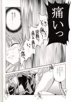 Page 33 of Sentimental Flowers