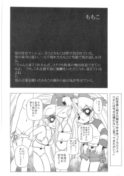 Page 23 of Charaemu W B006 De masi ta! Power Puff Girls Z 001
