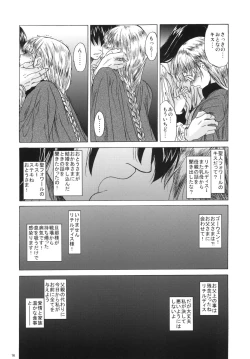 Page 16 of Saint Foire Festival 3