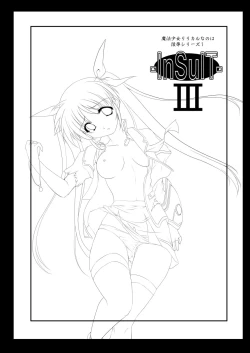 Page 2 of InSulT III