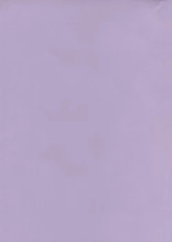 Page 2 of Mahou Kyuushiki 8 Pierrot