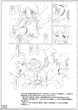 Page 5 of nanO RAISER