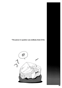 Page 26 of TOHO N+ QF