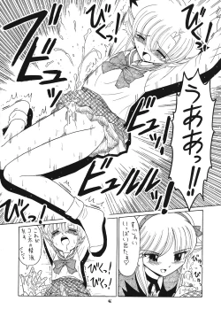 Page 45 of EruEru 25
