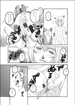 Page 14 of Mithra wo Mederu Hon