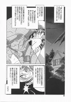Page 30 of Midara na Kagaijugyou