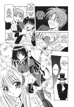 Page 14 of Palladium Garden