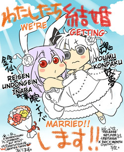Download What the hell are you drawing!! Youmu x Reisen