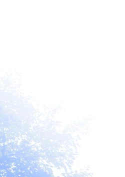 Page 2 of perversions